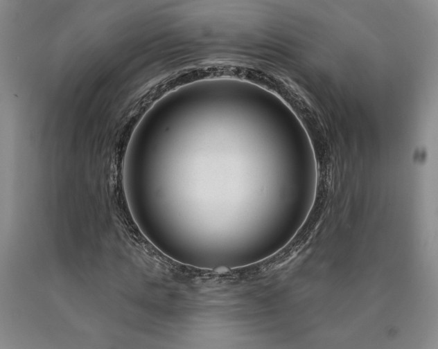 X0000090870821200707271248