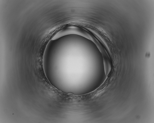 X0000090870822200707271248