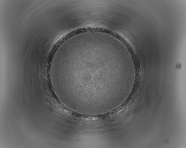 X0000090870823200707271248