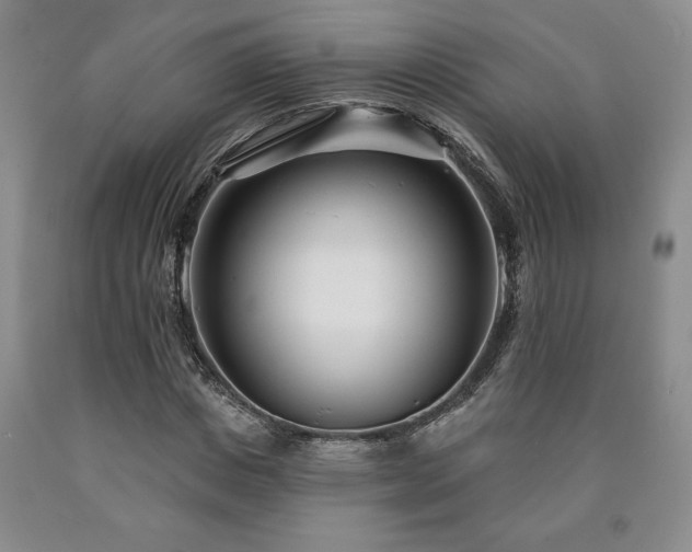 X0000090870825200707271248