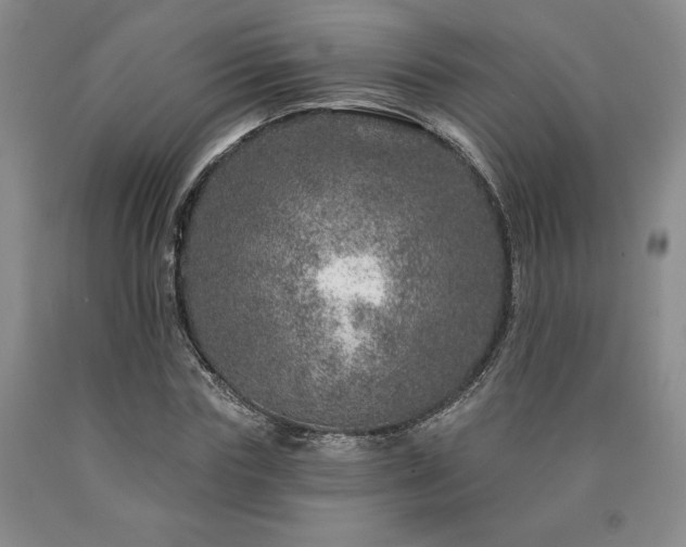 X0000090870827200707271248