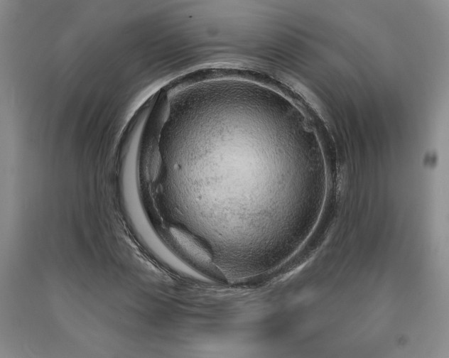 X0000090870829200707271248