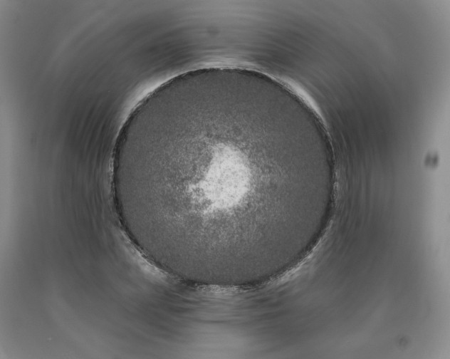 X0000090870831200707271248