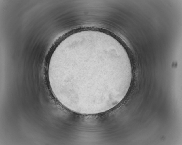 X0000090870832200707271248