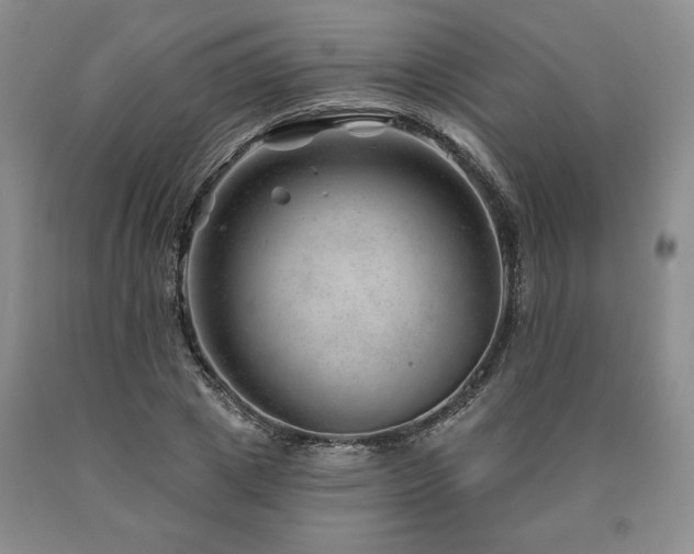 X0000090870833200707271248