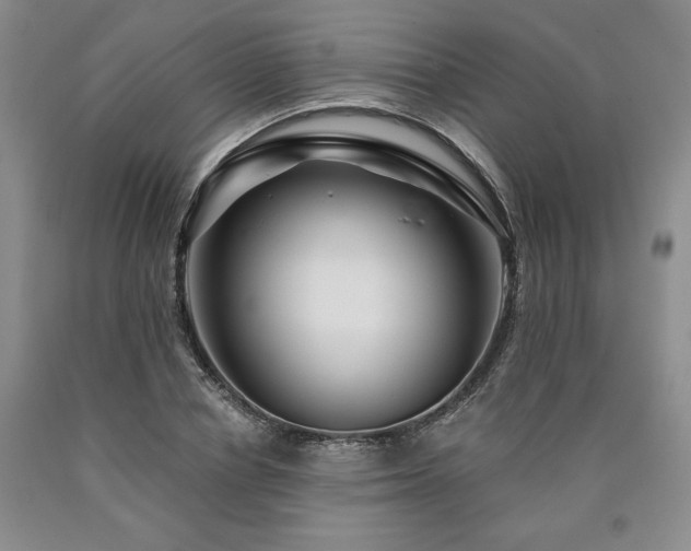 X0000090870834200707271248