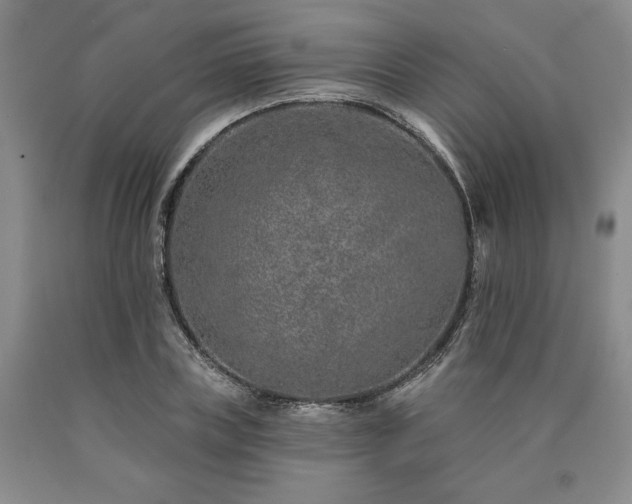 X0000090870835200707271248