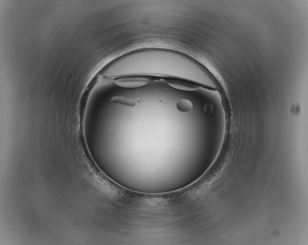 X0000090870837200707271249