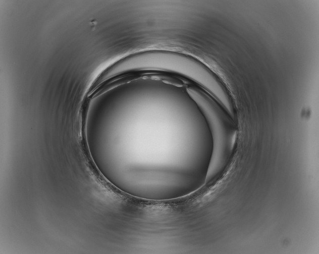 X0000090870838200707271249