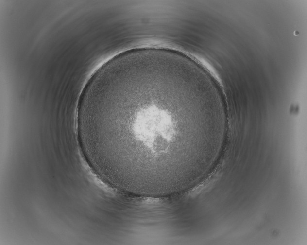 X0000090870839200707271249