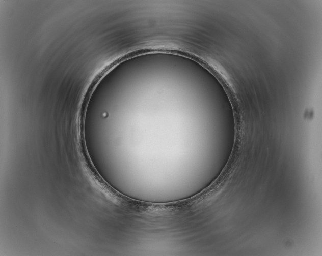 X0000090870840200707271249