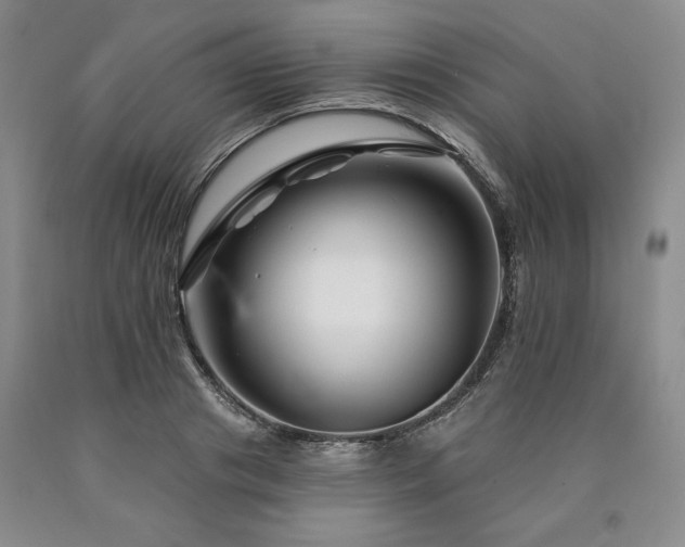 X0000090870841200707271249