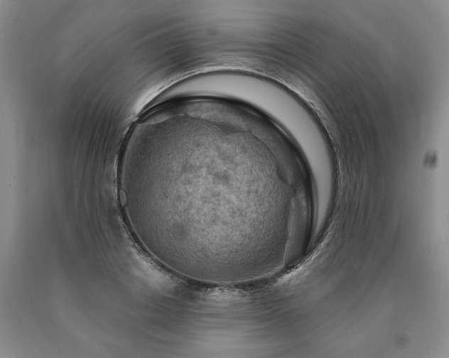 X0000090870842200707271249