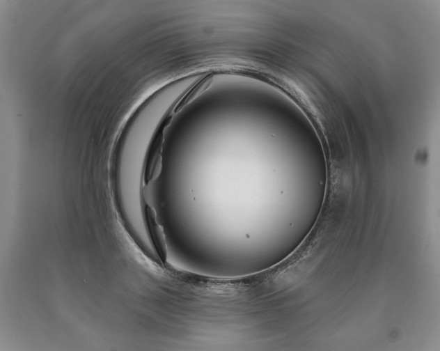 X0000090870843200707271249