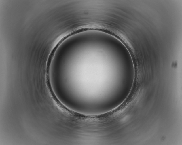 X0000090870845200707271249