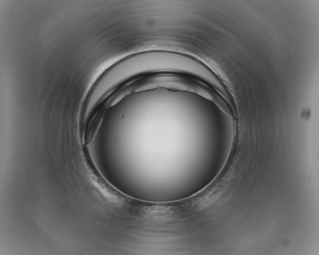 X0000090870846200707271249