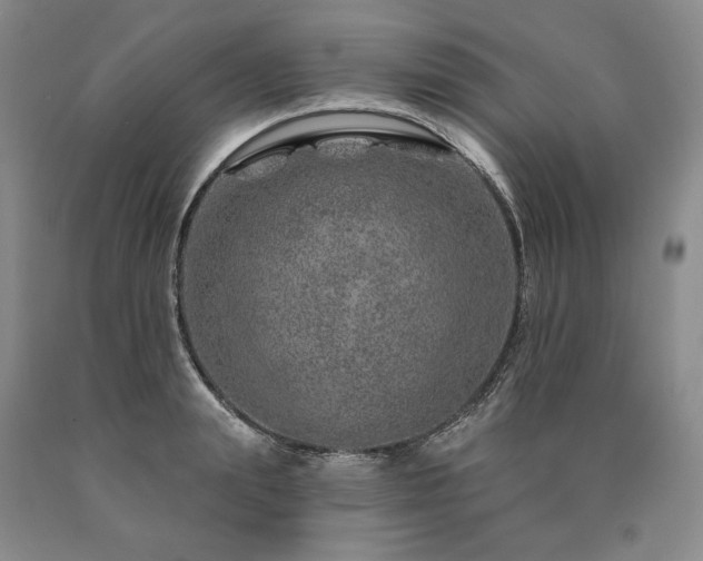 X0000090870847200707271249