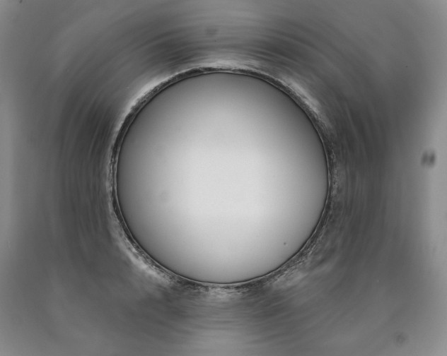 X0000090870848200707271249