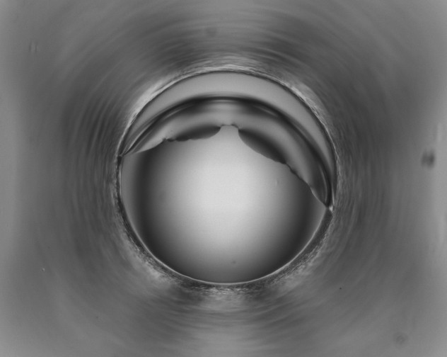 X0000090870850200707271249