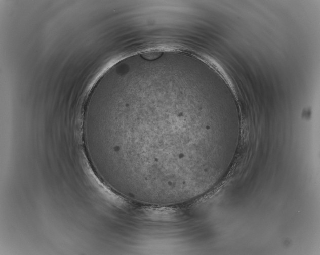 X0000090870851200707271249