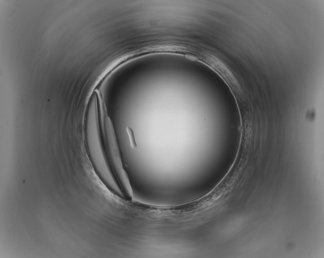 X0000090870852200707271249