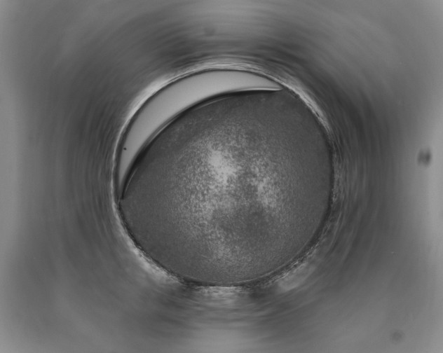 X0000090870853200707271249