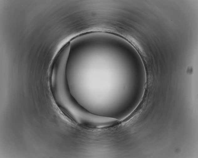 X0000090870854200707271249