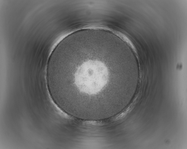 X0000090870855200707271249