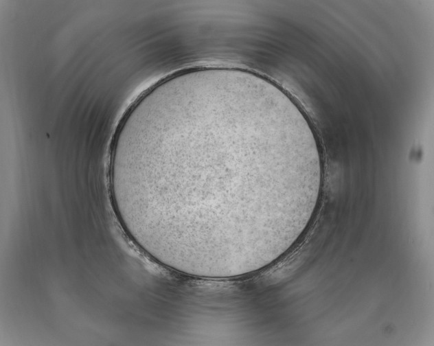 X0000090870856200707271249