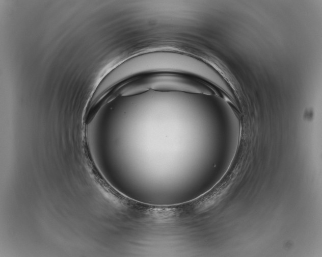 X0000090870858200707271249