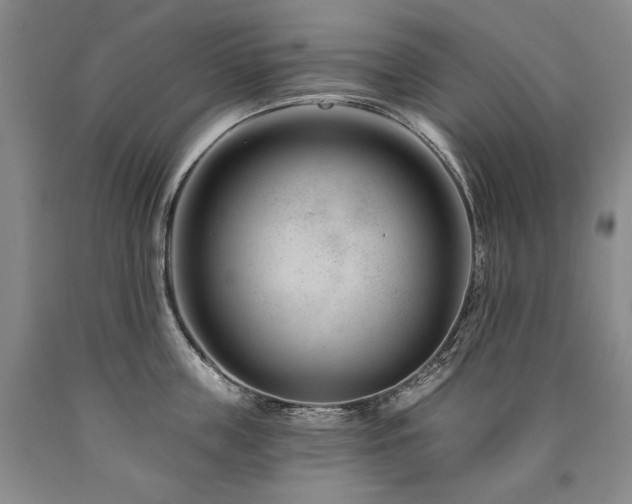 X0000090870859200707271249