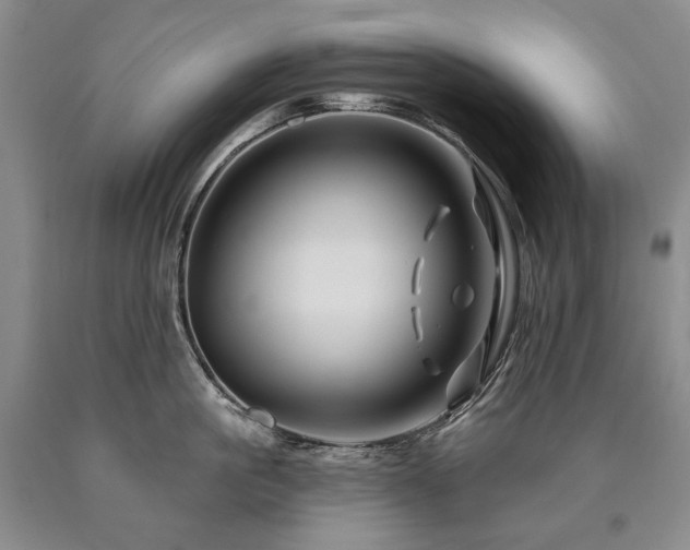 X0000090870861200707271249