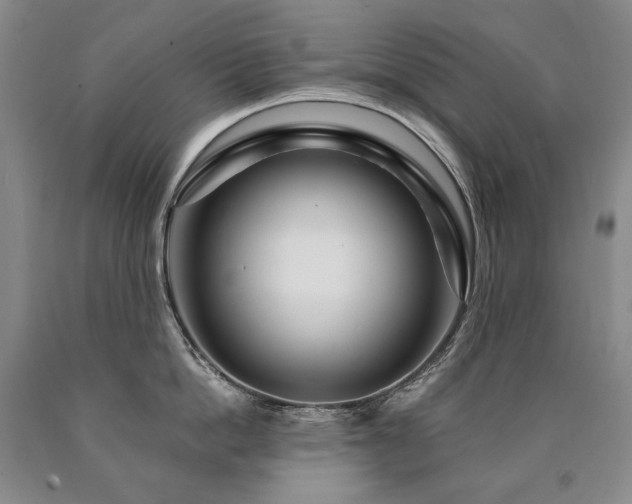 X0000090870862200707271249