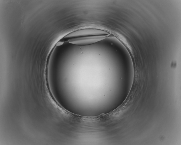 X0000090870863200707271249