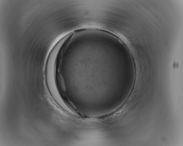 X0000090870864200707271249