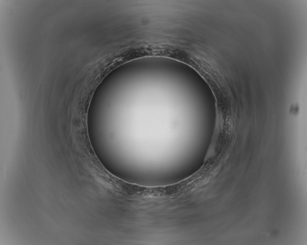 X0000090870865200707271248