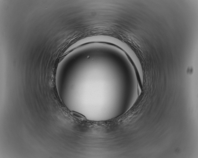 X0000090870868200707271248