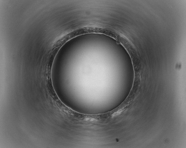 X0000090870870200707271248