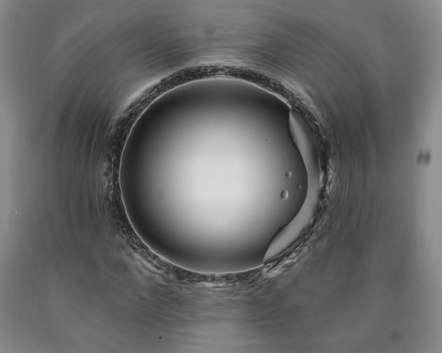 X0000090870872200707271248