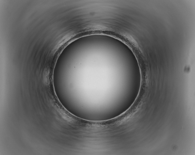 X0000090870873200707271248