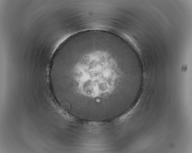 X0000090870875200707271248