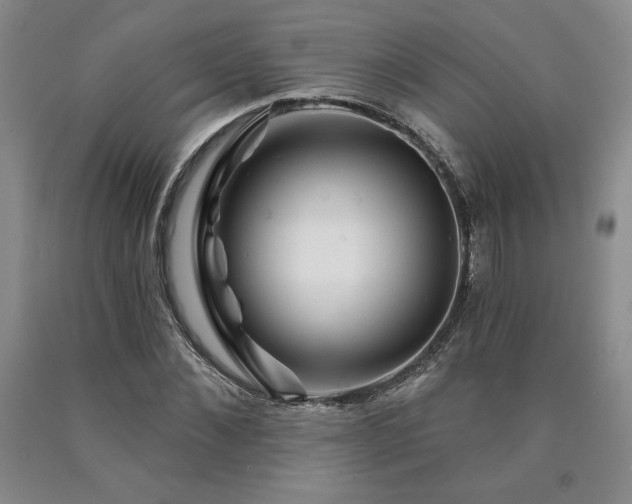 X0000090870876200707271248