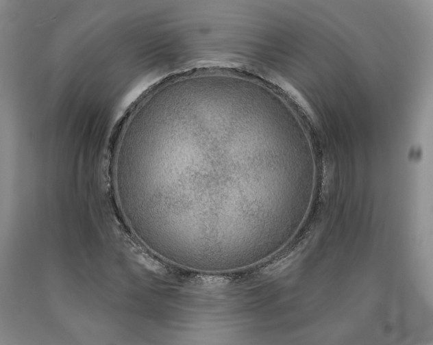 X0000090870878200707271248