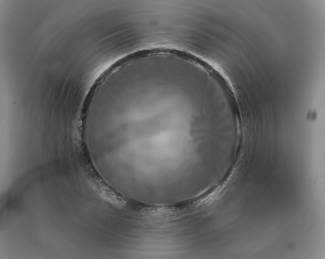 X0000090870879200707271248