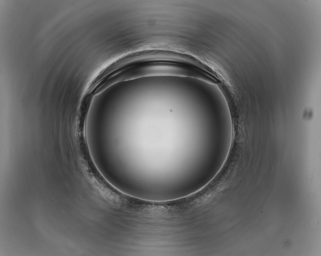 X0000090870880200707271248