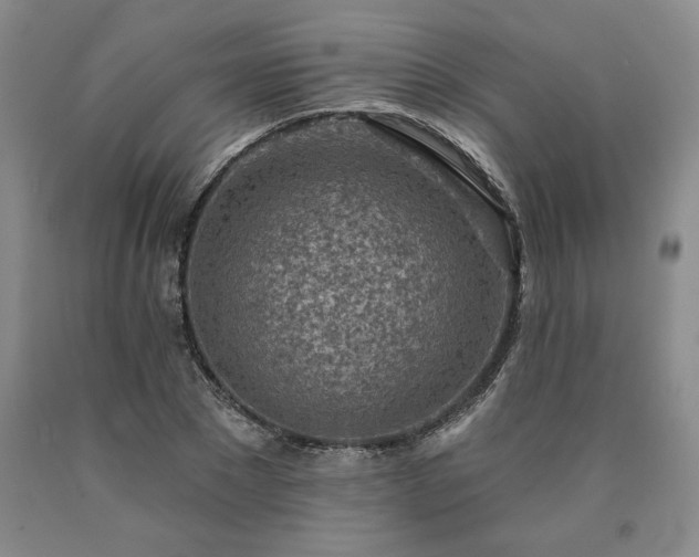 X0000090870881200707271248