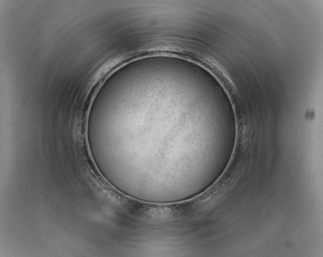 X0000090870882200707271248