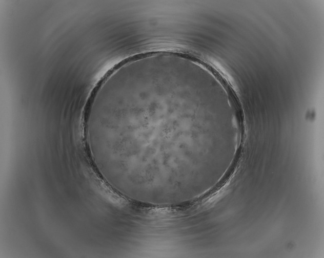 X0000090870883200707271248