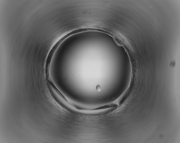 X0000090870884200707271248