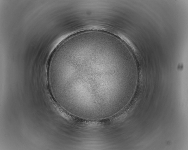 X0000090870886200707271248